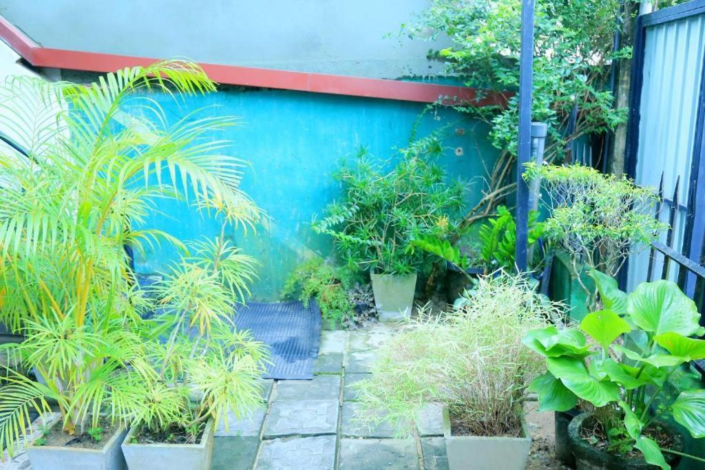 Villa Surendra Weligama Exterior foto